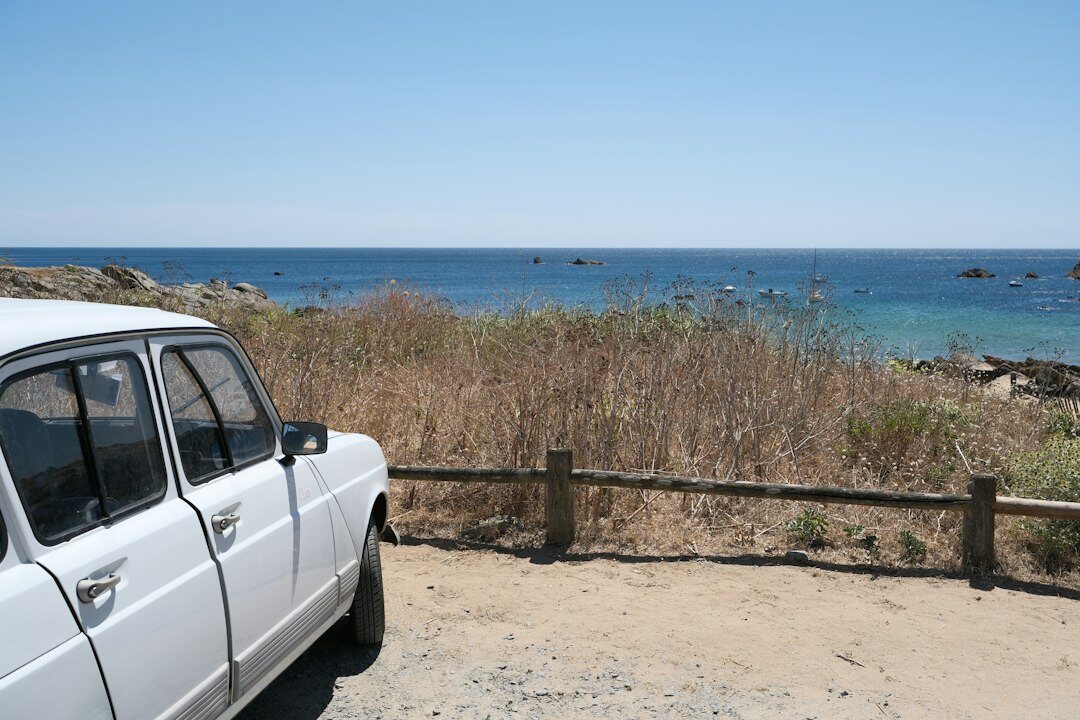 Row of classic convertible automobiles parked along the Punta del Este waterfront